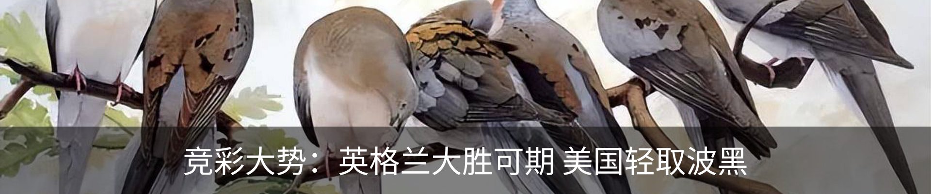 内页banner